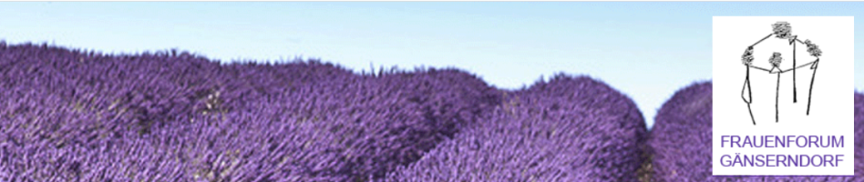 Lernstudio Frauenforum Gänserndorf